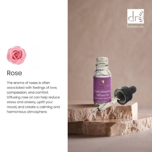 Bezauberndes Rosen-Diffusor-Set