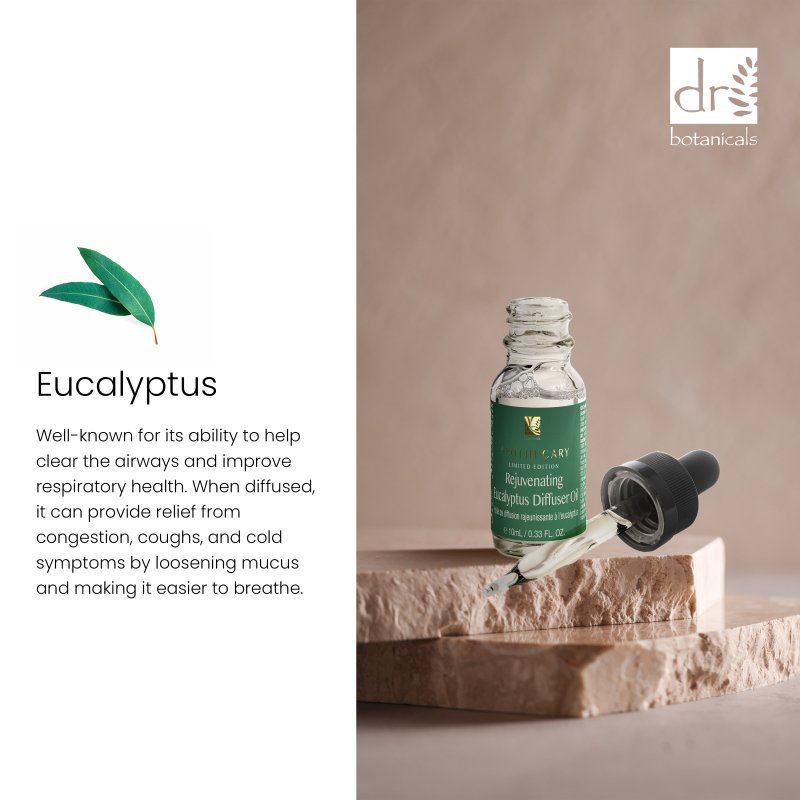 Verjüngendes Eukalyptus-Diffusoröl 10 ml Doppelpack