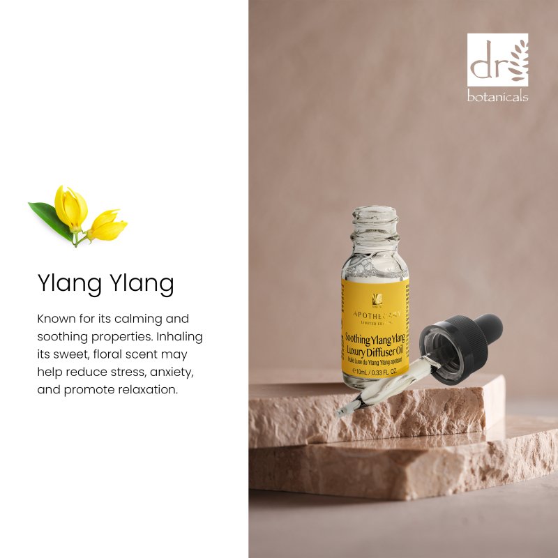 Beruhigendes Ylang-Ylang-Diffusor-Set