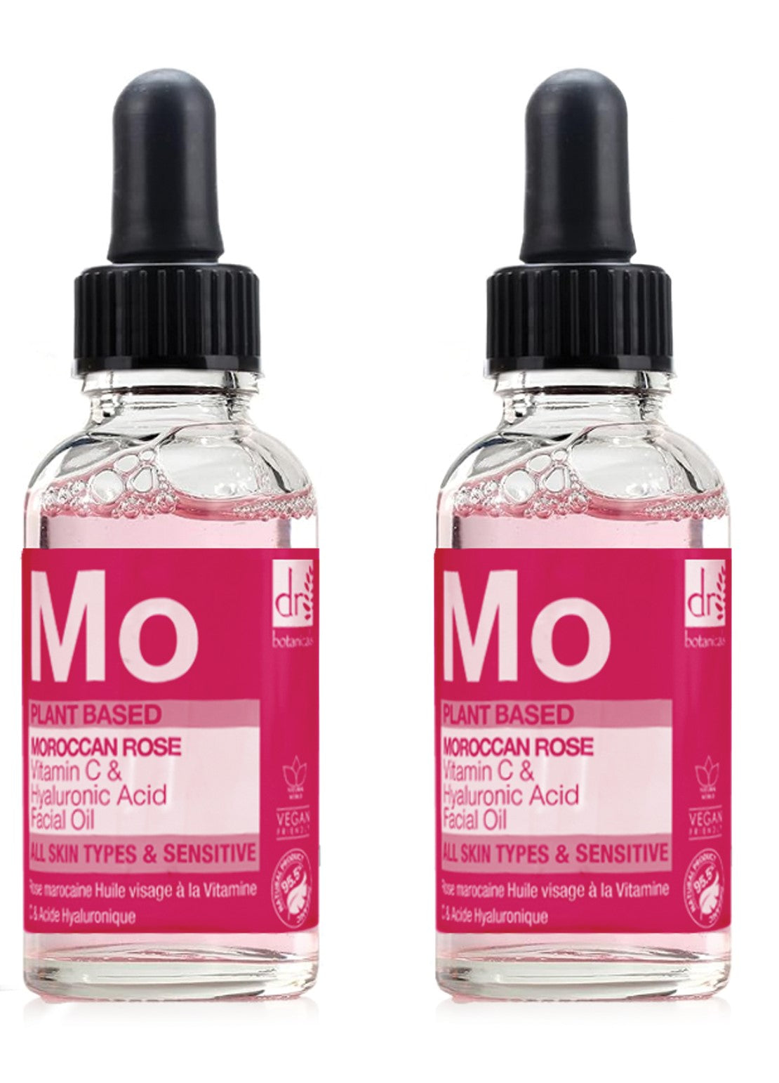 Marokkanische Rosen-Minis