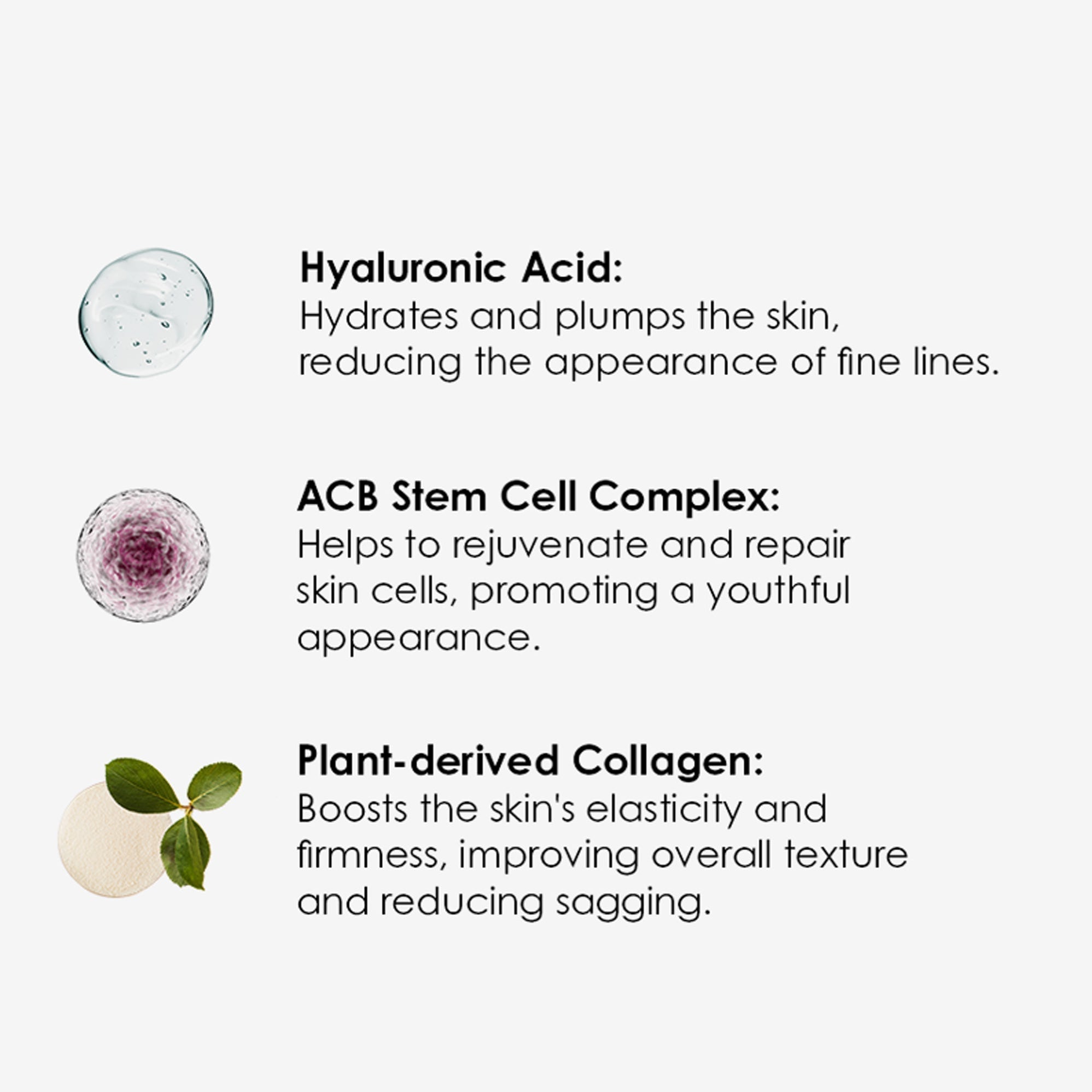 Plazenta-Feuchtigkeitscreme 50 ml x 2 Duo-Pack